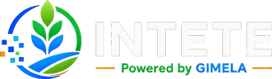 Intete Logo